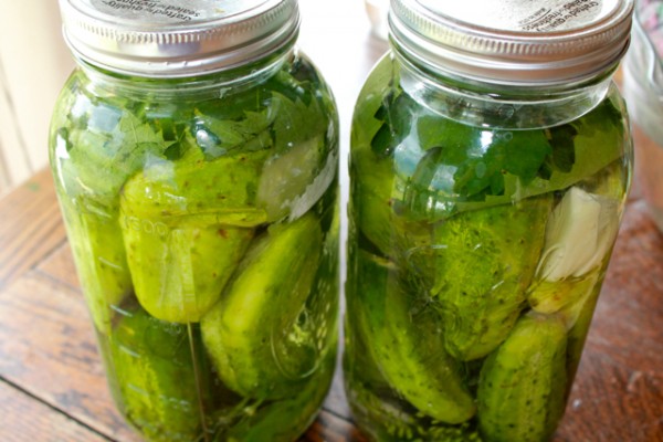 pickles4